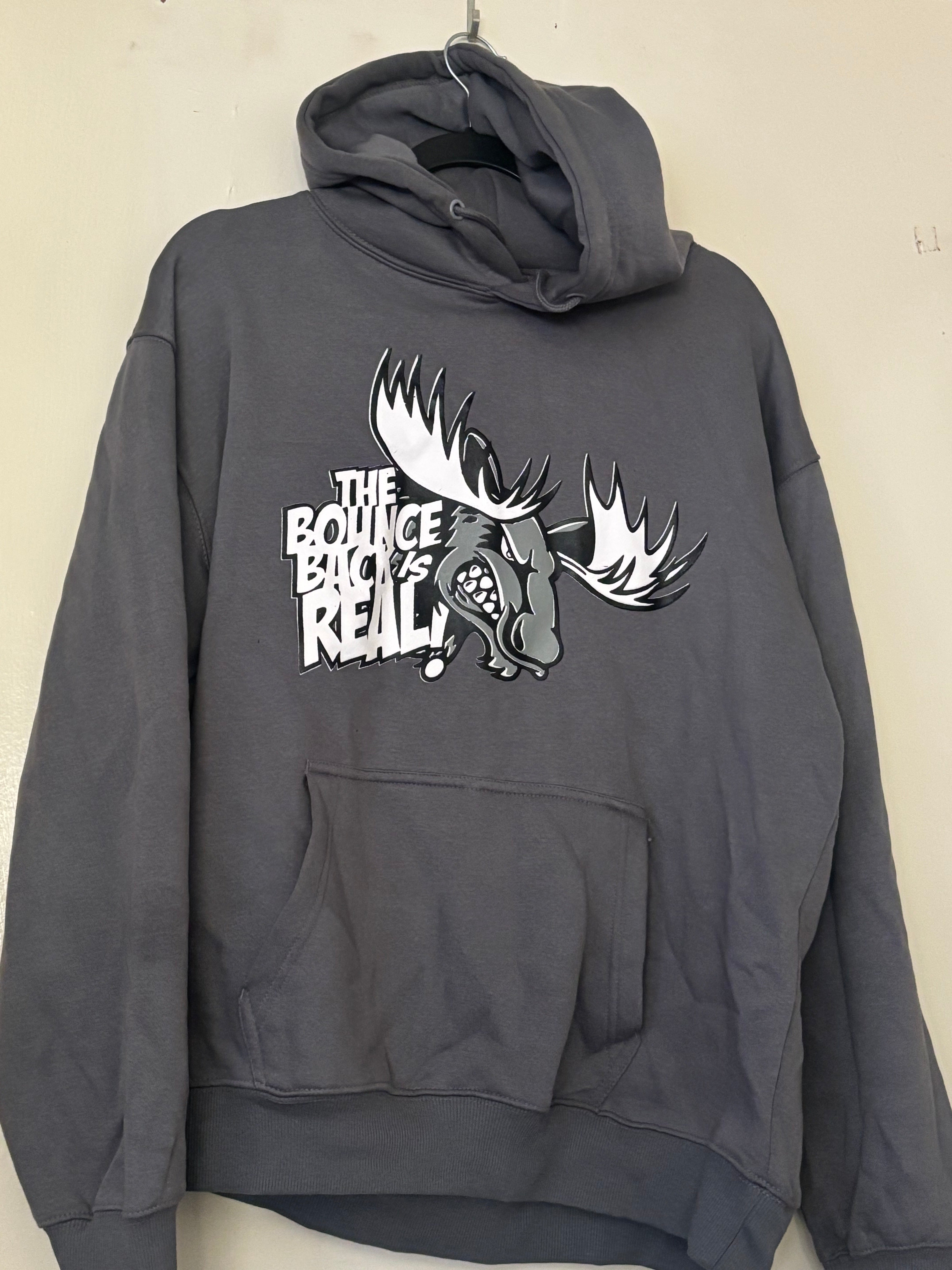 TBBIR Hoodie (Grey)